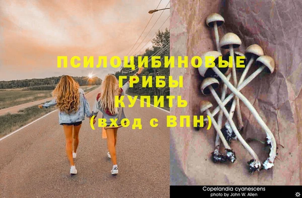 ALPHA PVP Бронницы