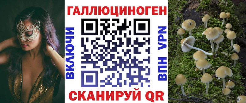 Галлюциногенные грибы MAGIC MUSHROOMS  наркошоп  Грозный 